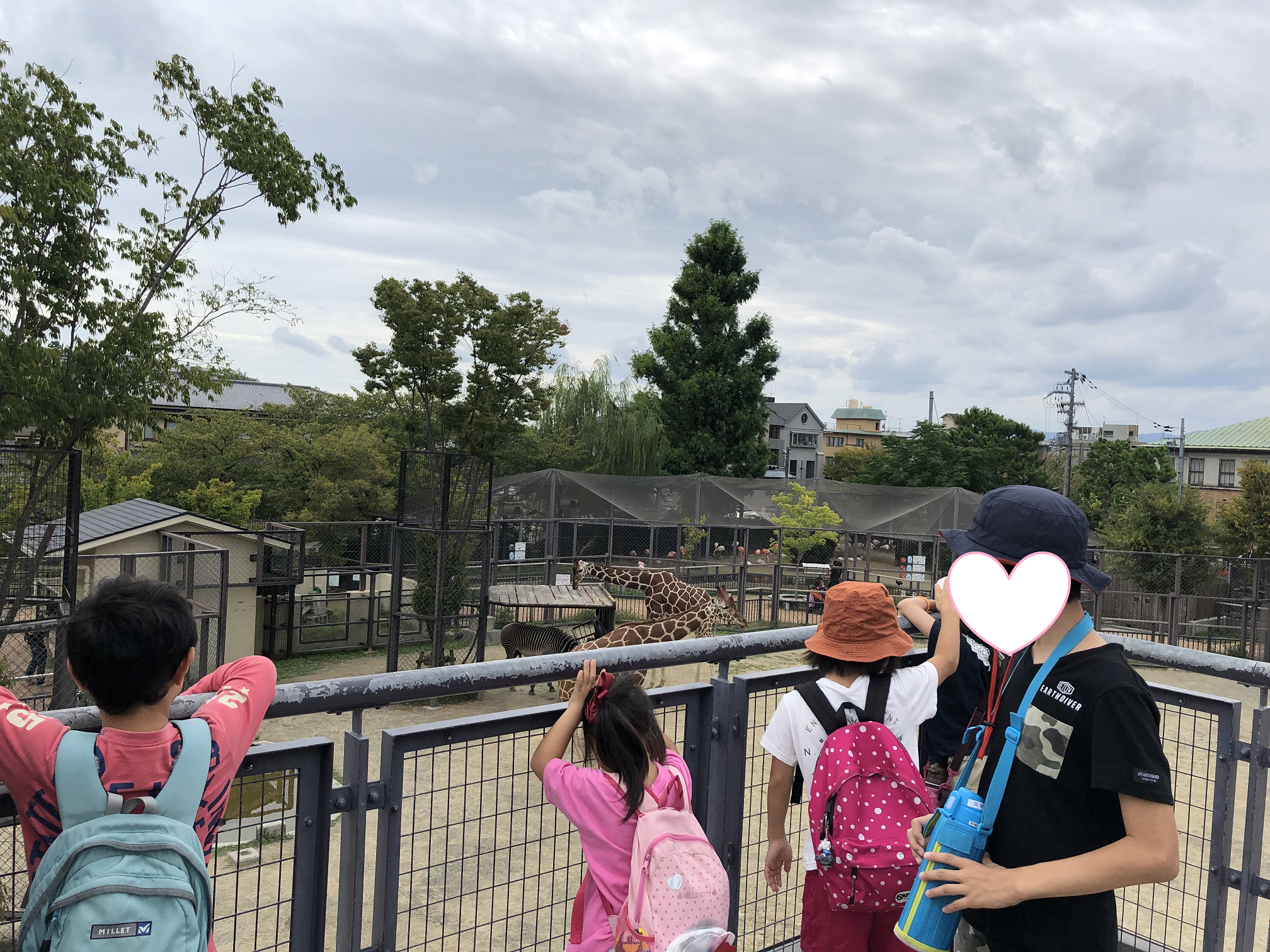 京都市動物園に行ってきました 放課後等デイサービスuni Co